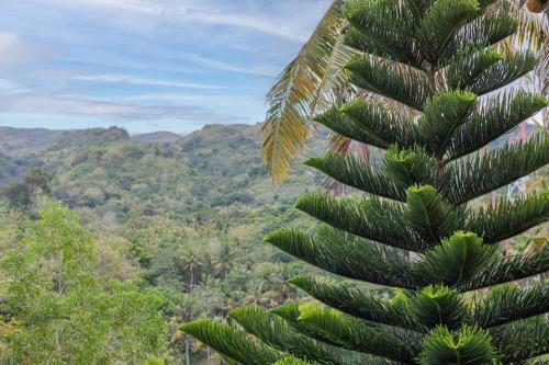 Batang Golden Hills