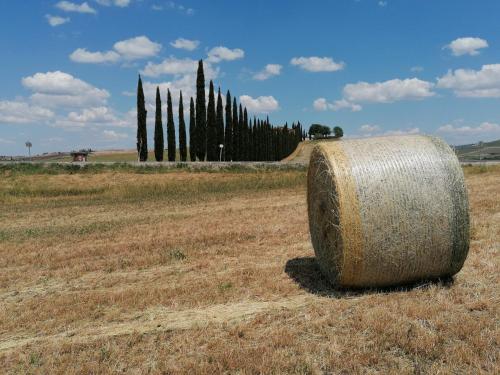 Agriturismo La Poderina