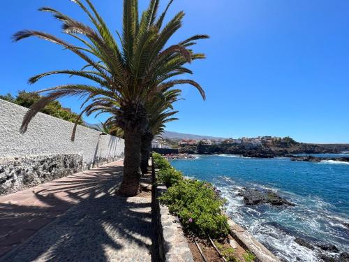 Ground floor apartment very close to the sea!