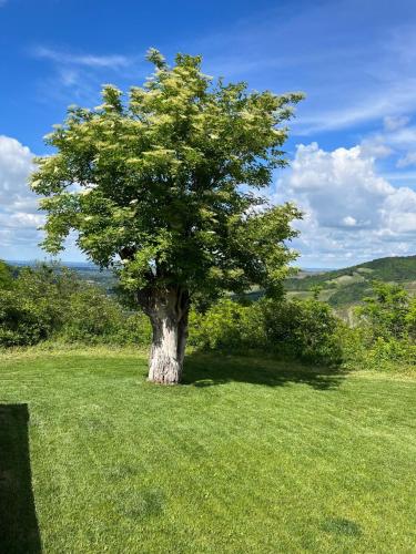 Casale IL SAMBUCO sui colli bolognesi