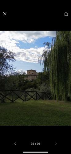 casa orma, Rapolano Terme (foto 9)