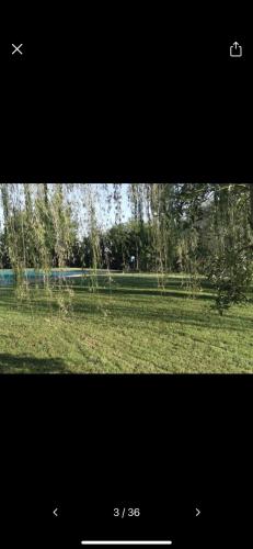 casa orma, Rapolano Terme (foto 10)