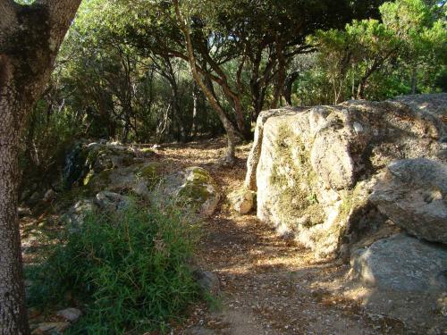 VILLA 4pers, STUNNING SEA VIEW, BEACH ON FOOT 4*, Olmeto (foto 8)