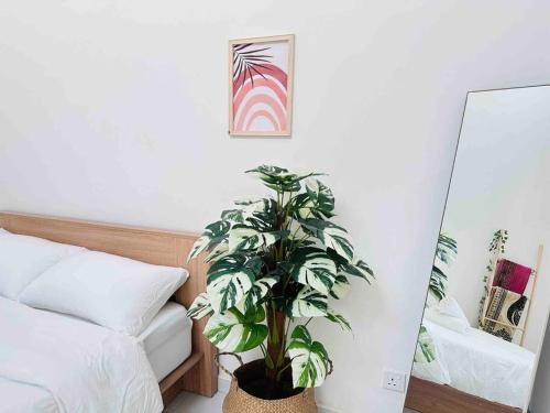 Homestay Gambang Muji Minimalist @ NIA GUESTHOUSE in Gambang