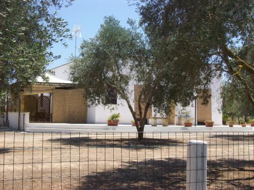 Otranto Le Sancinare Otranto Le Sancinare