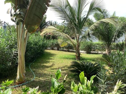 PACOTOUTY LODGE in Cap Skirring