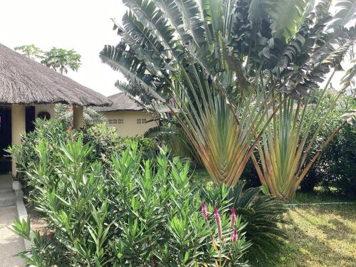 PACOTOUTY LODGE in קאפ סקירינג