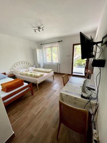 Apartments Miro in Poljane