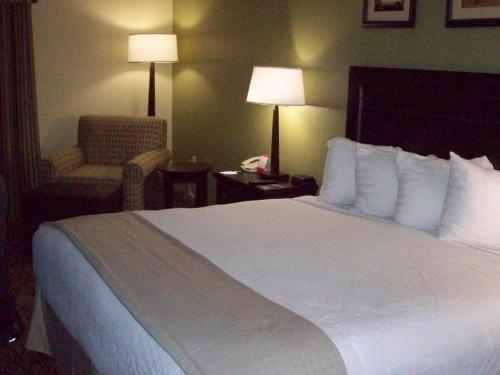 Holiday Inn - Fort Myers - Downtown Area, an IHG Hotel