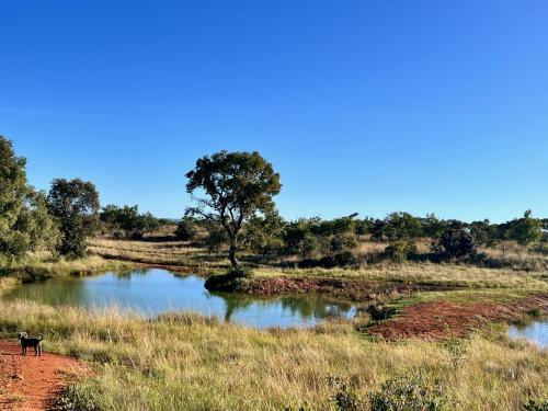 Rockey Mountain Tower