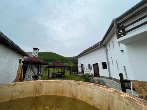 Casa Ariana in Valisoara