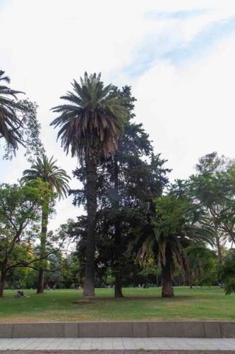 Excelente piso en el corazón de Palermo -5 PAX-, Buenos Aires (fotografie 9)