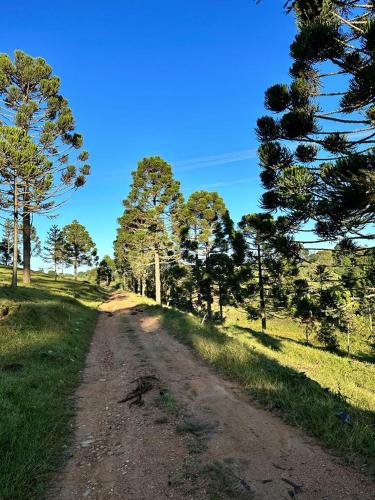 CHALES CAMBARA DA SERRA