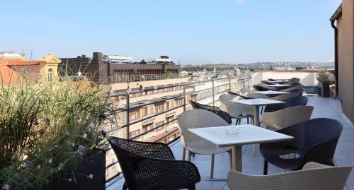 Amarilis - main image