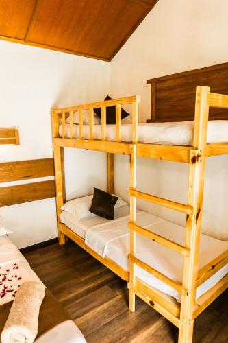 RISING SUN BEACH VIEW RISING SUN BEACH VIEW