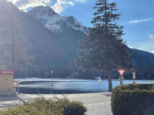 Charmant 2,5 pièces avec jardin à 2 pas du lac (Charmant 2,5 pieces avec jardin a 2 pas du lac) in Champex