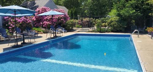 The Platinum Pebble Boutique Inn - Adults Only Property - West Harwich, MA