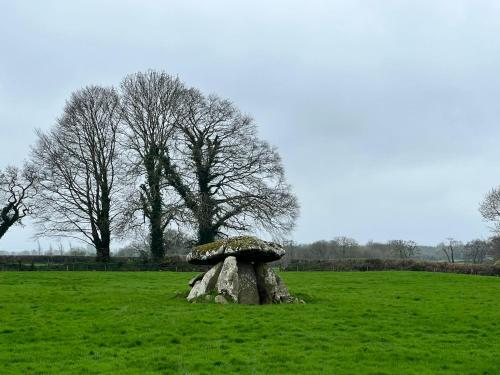 The Wandering Donkey Guest House in Carlow