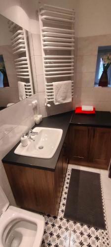 Lovely apartment on Dyrekcyjna street! In the very center of Katowice! - image 3