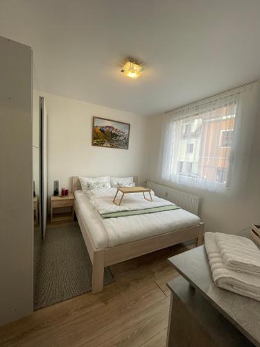 Beroun apartments in 貝龍