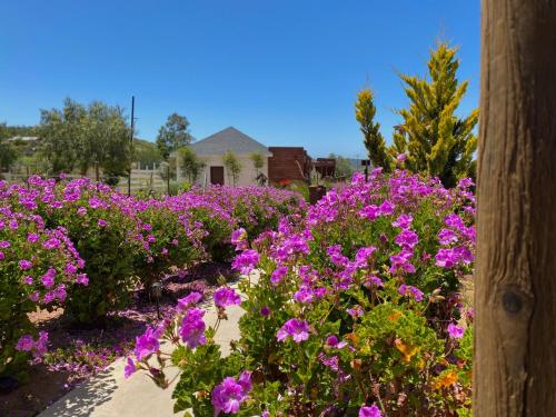 Entrevalle Hotel Boutique