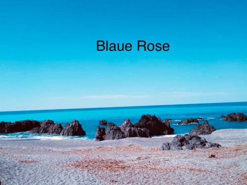 Blaue Rose