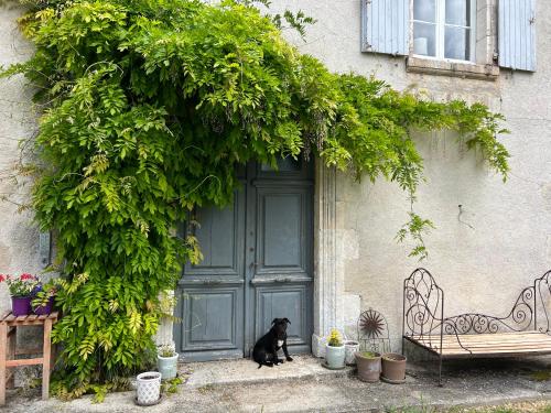 Le Loriot - Accommodation - Champagne-et-Fontaine