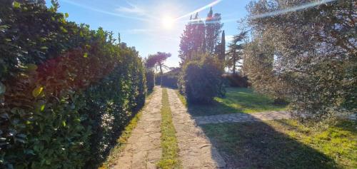 สวน, House Spina in ดูบา