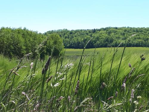 Les Chenevières