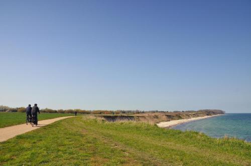 Holiday Home image 5
