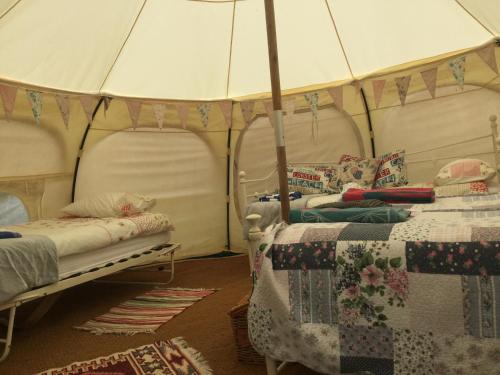 Horsemans Stargazing Tent gîte à louer West Alvington