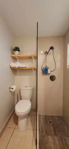 Private Aparment Studio in the hard of Miami unit # 6 in Opa-locka, USA