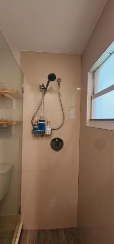 Private Aparment Studio in the hard of Miami unit # 6 in Opa-locka, USA