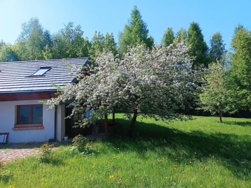 Nad stawem in Karwie