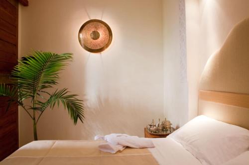 Riad Alkaderi - image 5