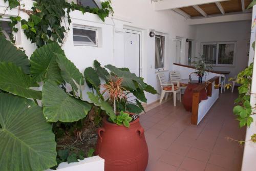 Nikos Hotel - image 7