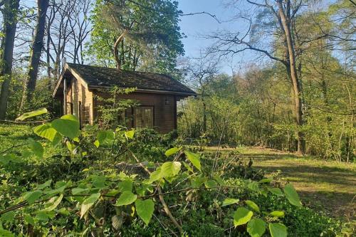 Hütte 2,3,1 bei Fkk camping Platz