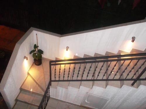 Sobe Nedović - main image