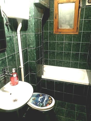 One-Bedroom Apartment image 10