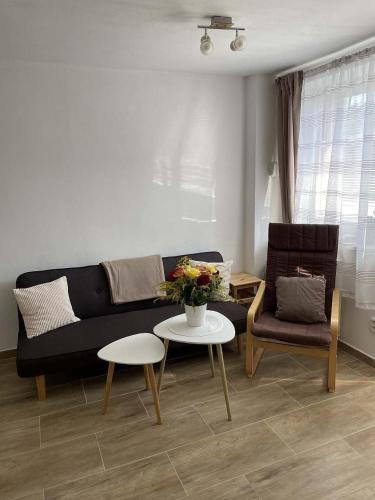 Apartmány Turkovna (Apartmany Turkovna) in Slabčice