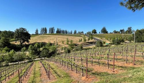 Vineyard Views 2BR House in Placerville, California