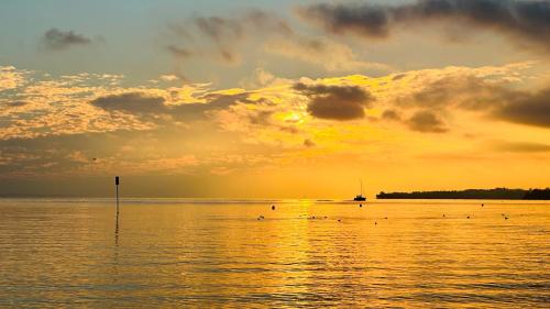 A környék, Charme mystique de la Chine,Évasion en douceur,静栖 (Charme mystique de la Chine,Evasion en douceur,静栖) in Morges