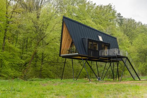 Baumhausapartment 4