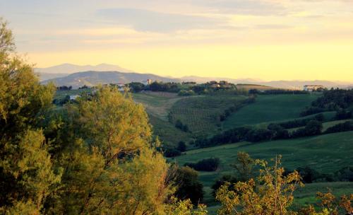  Casa Monteluro - B&b, Pension in Tavullia bei Montecchio