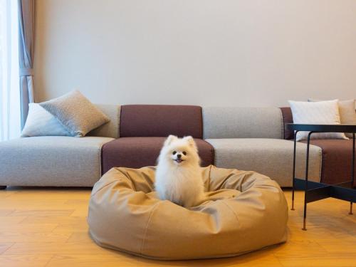 Rakuten STAY VILLA Yatsugatake - 104 Family Room Pets Friendly -