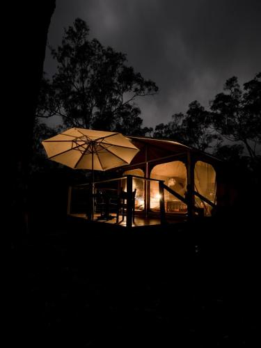 Wild Nature Lodge, Mareeba Wetlands