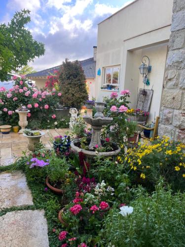 שלווה בהר in Malkiya