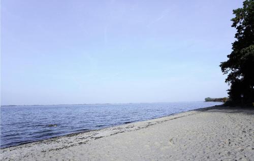 Awesome home in Zierow w/ Sauna and 2 Bedrooms - image 2
