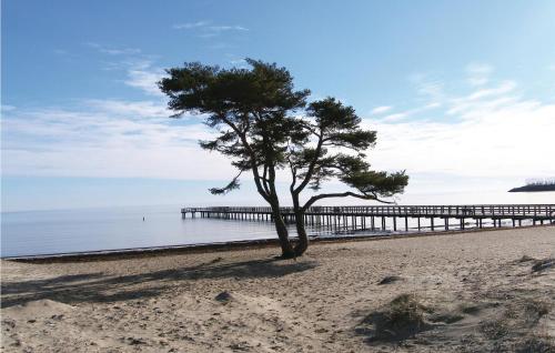 外部景觀, Lovely Home In Yngsjo With Sauna in 恩斯約