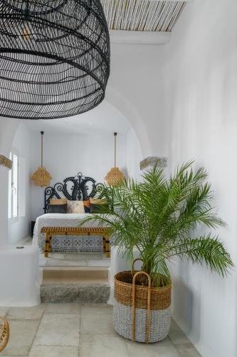 Euphoria Chora Naxos - image 4